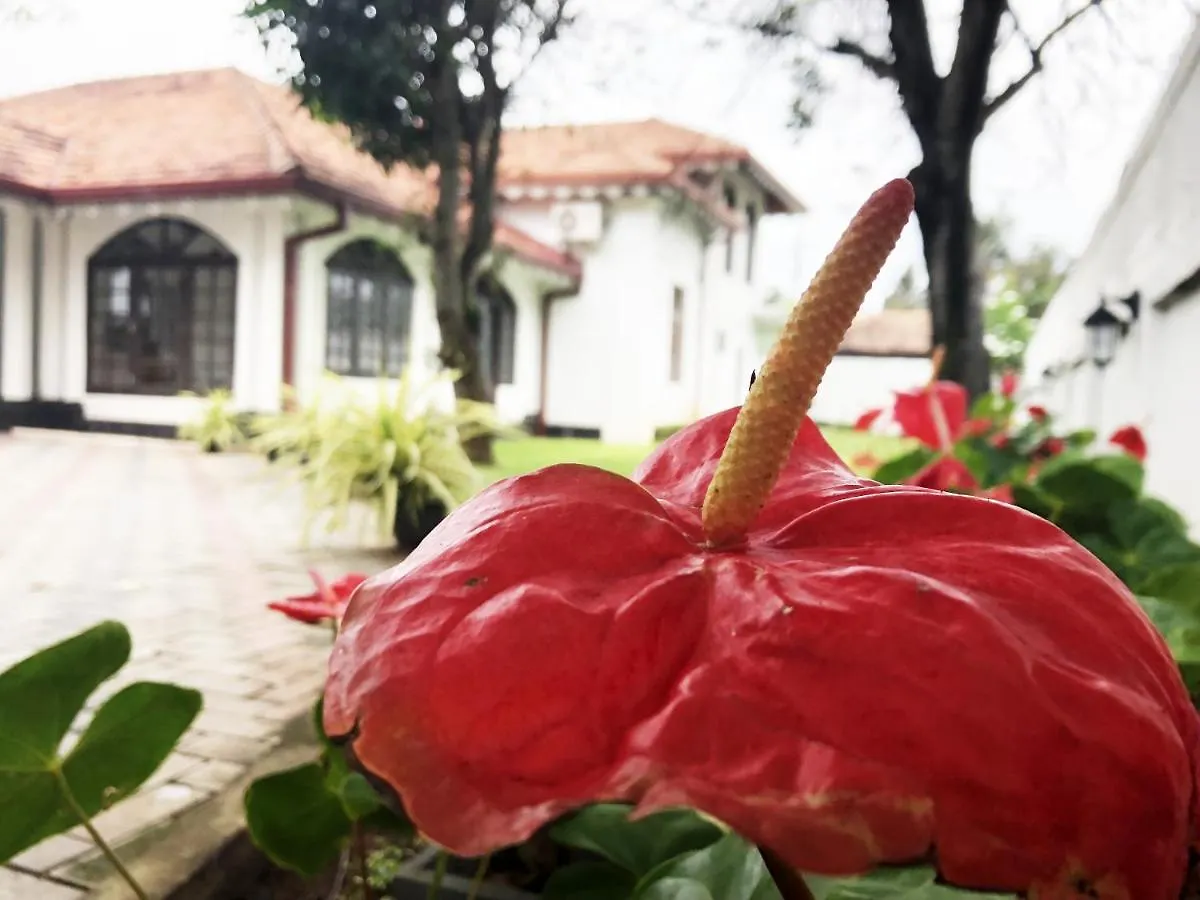 Grand Villa Negombo